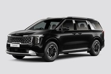 Carnival Limousine Plu